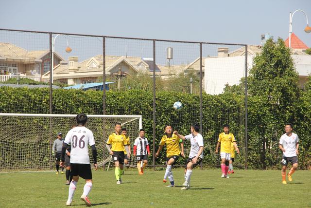 崔永熙谈在篮网训练感受：施罗德西蒙斯人不错